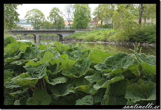 Biskopsbron, Västerås Biskopsbron, Västerås