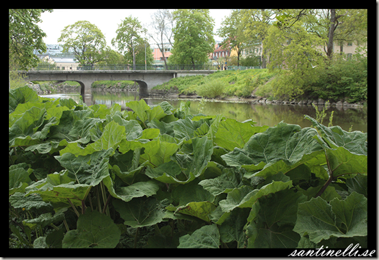 Biskopsbron, Västerås