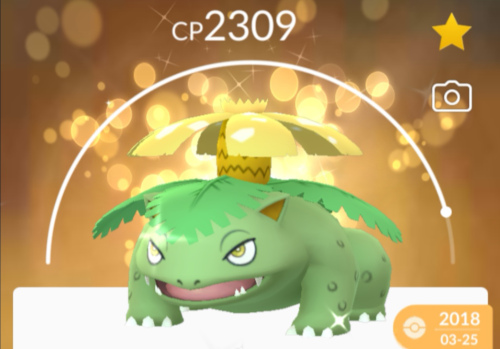 Lucky Venusaur