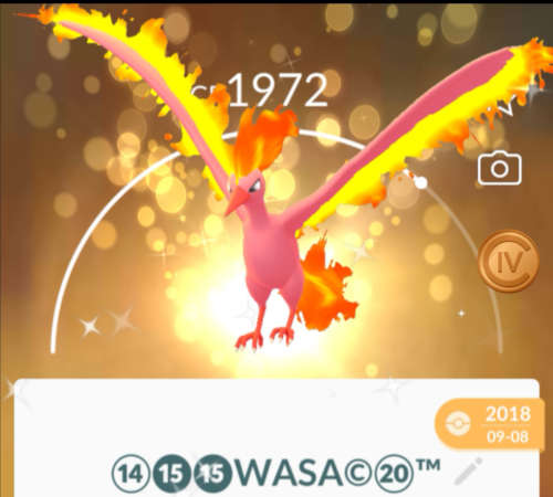 Lucky Shiny Moltres