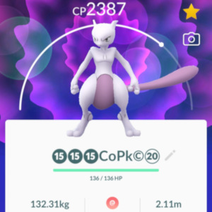 Mewtwo 100%